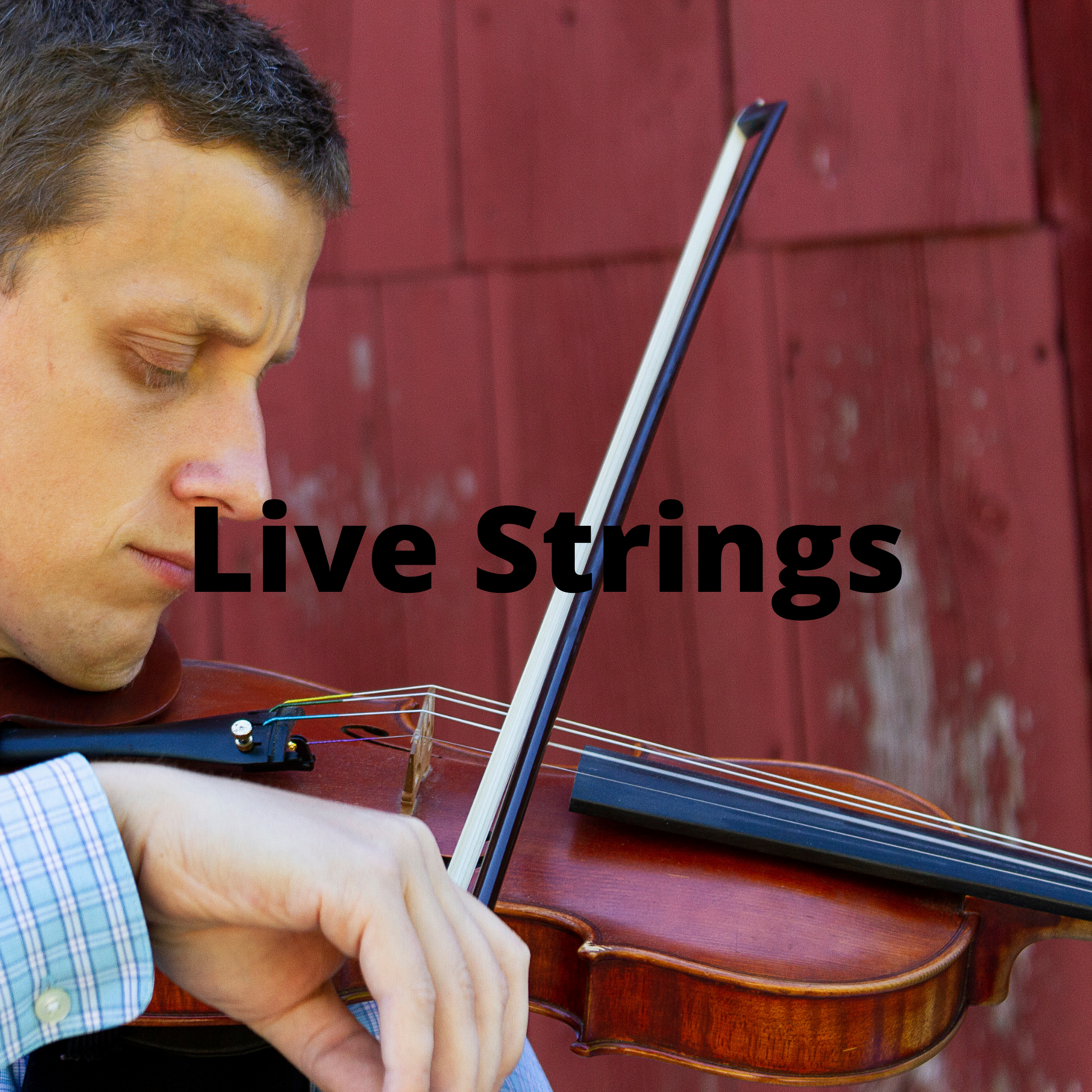 Live Strings